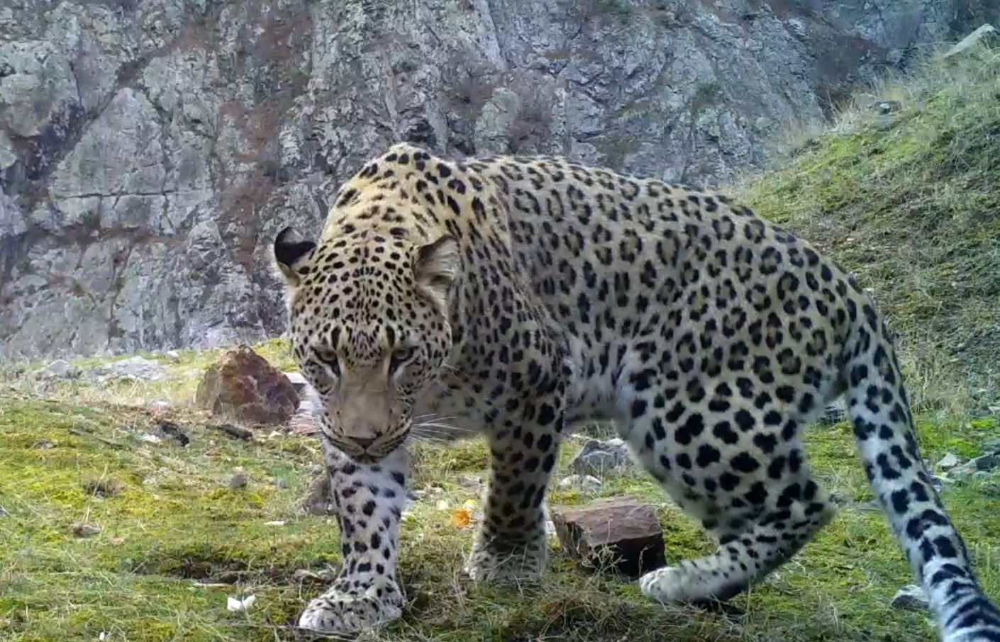 Doğanın Hazinesine Dokunun