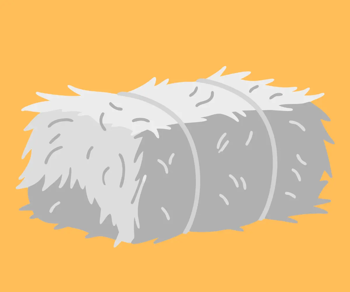 Beslenmeye Destek Ol