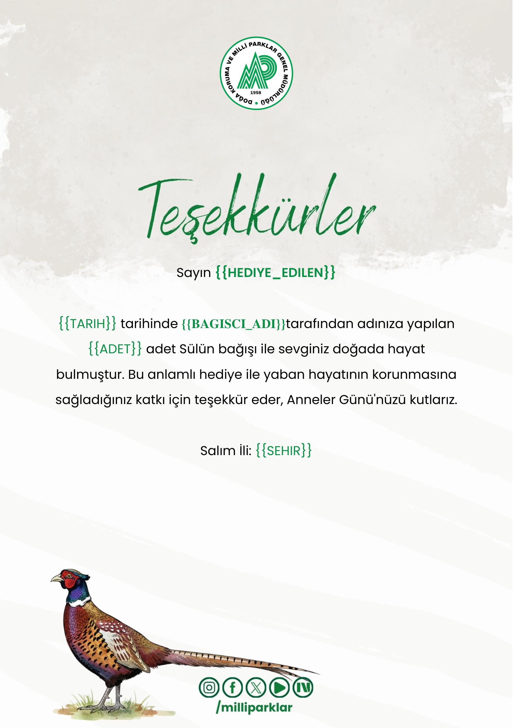 Anneler Günü Kurumsal - Sülün