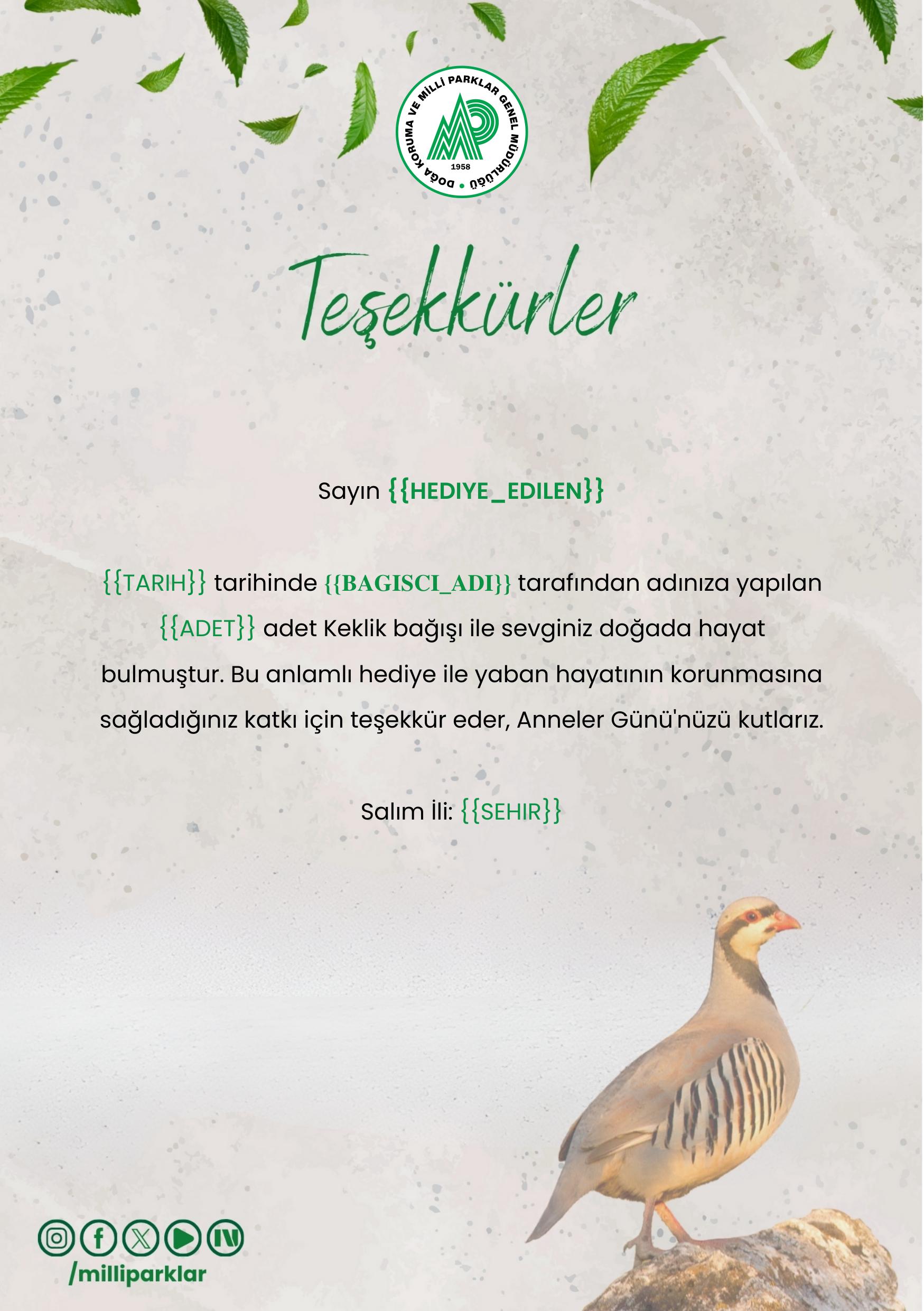 Anneler Günü Kurumsal - Keklik Bağışı