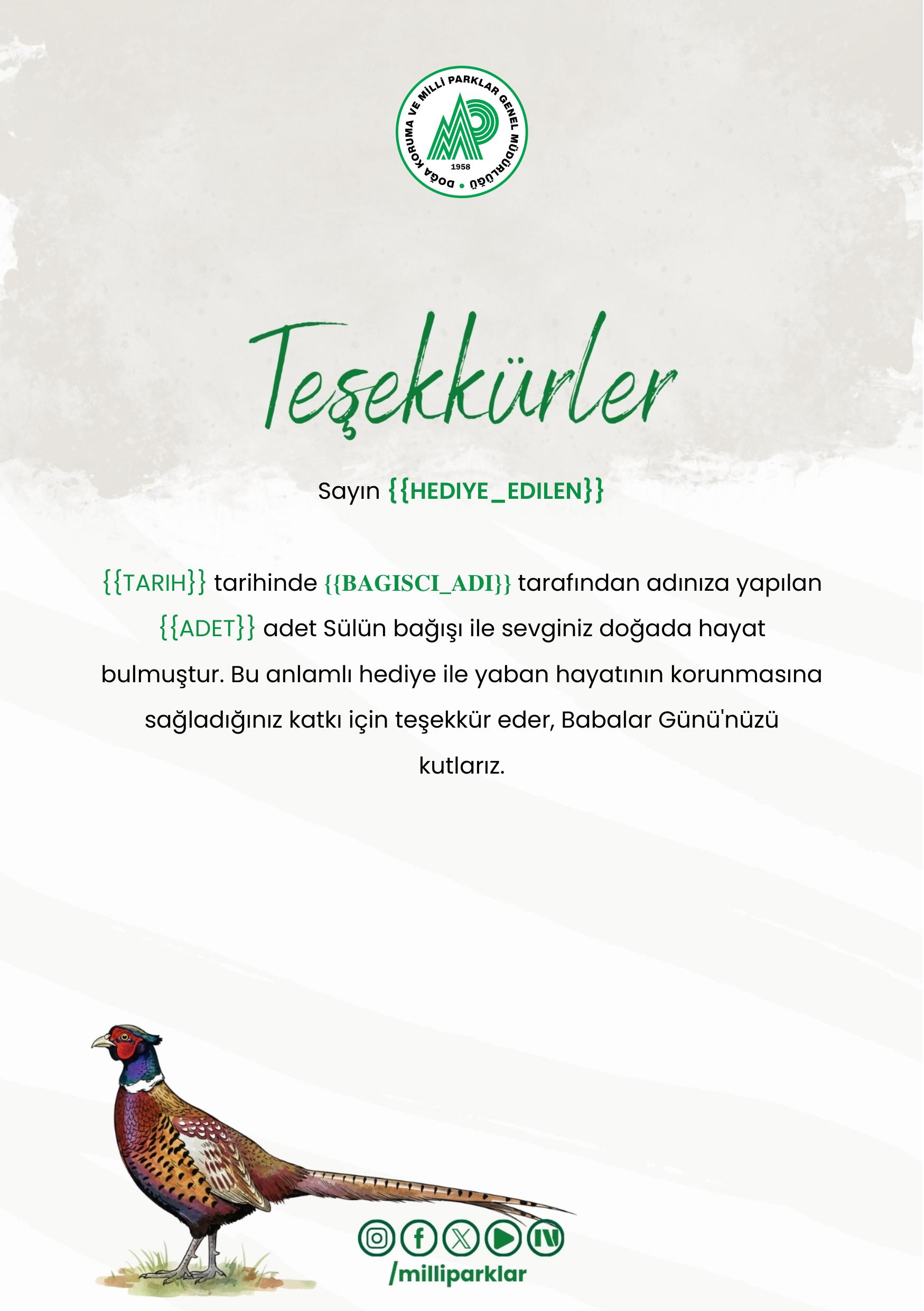 Babalar Günü Kurumsal - Sülün