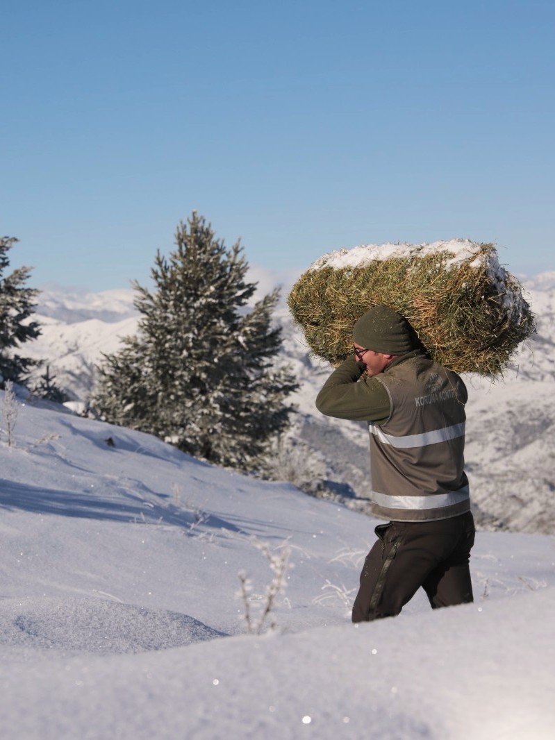 Beslenmeye Destek Ol