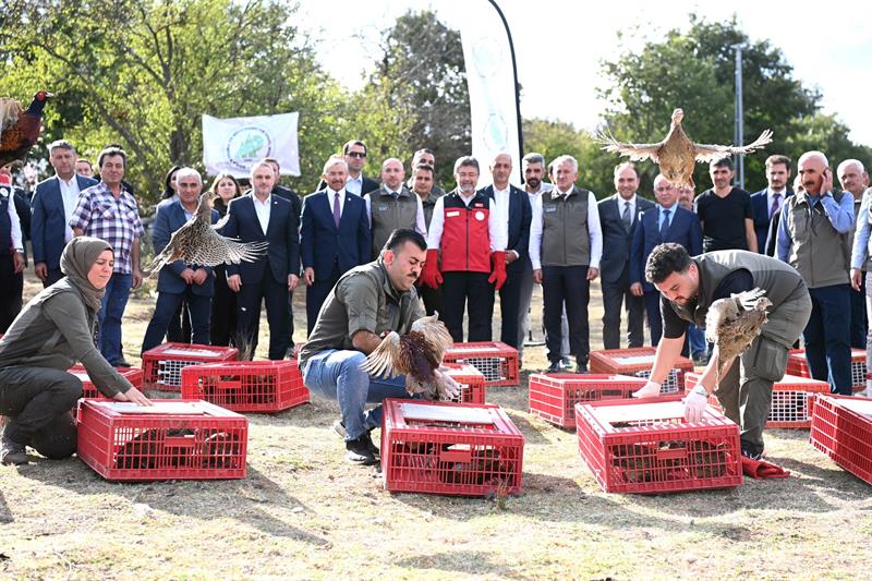 İSTANBUL'DA 200 SÜLÜN DOĞAYLA BULUŞTU
