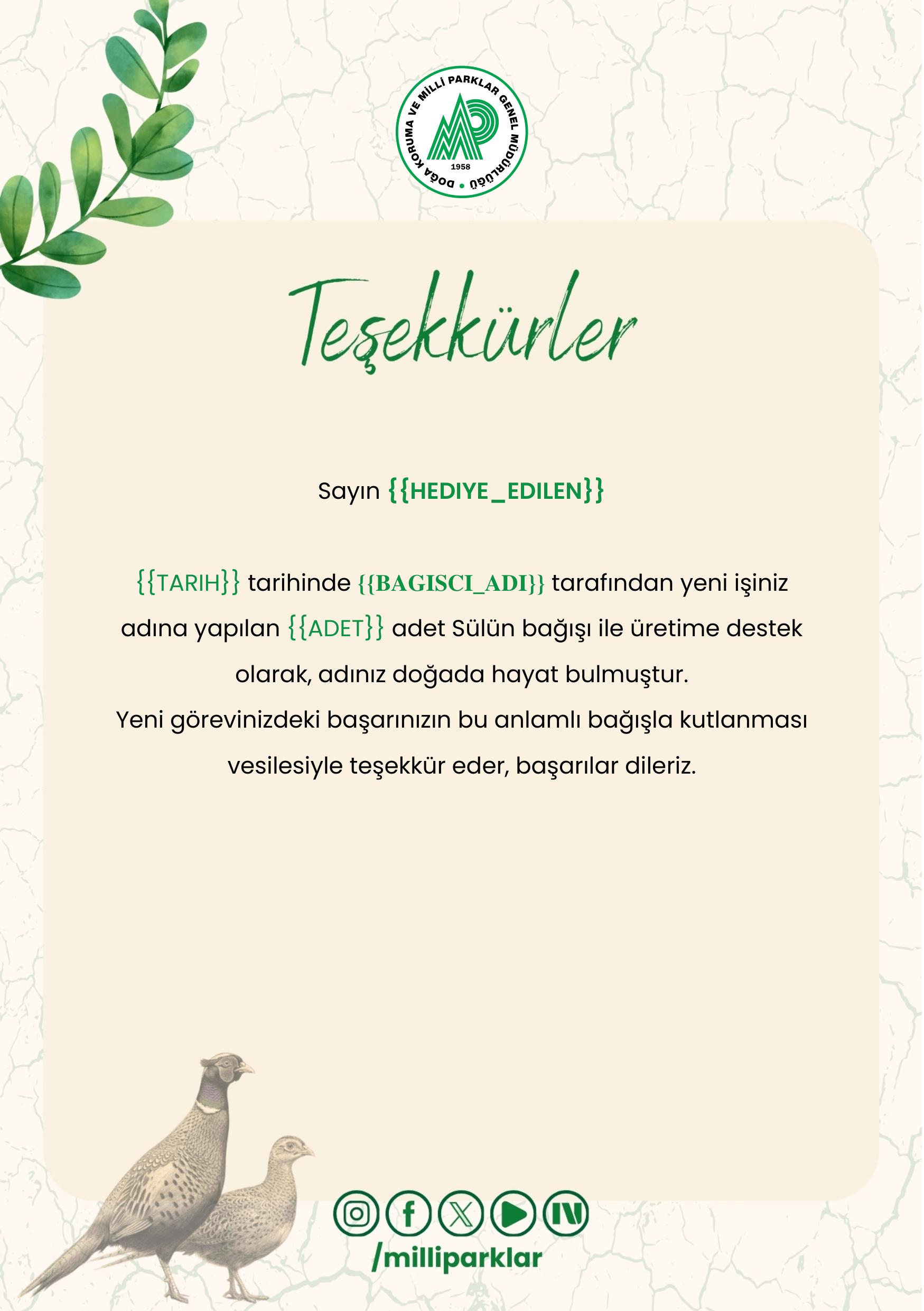 İş Tebriği - Sülün