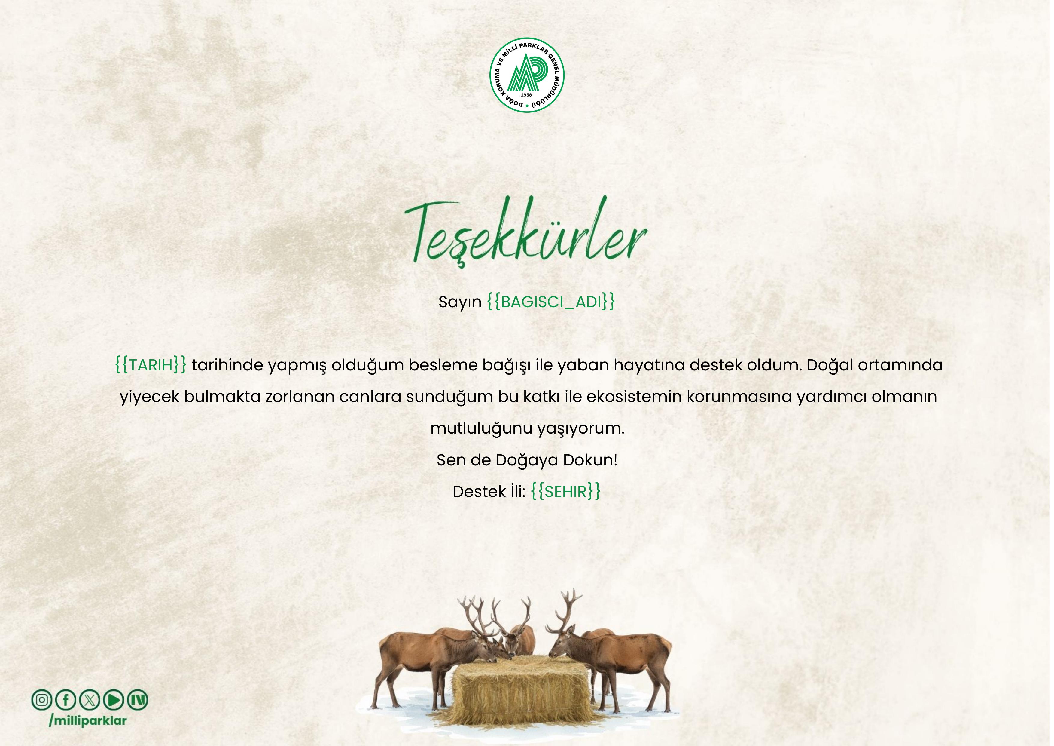 Beslenmeye Yardımcı Ol