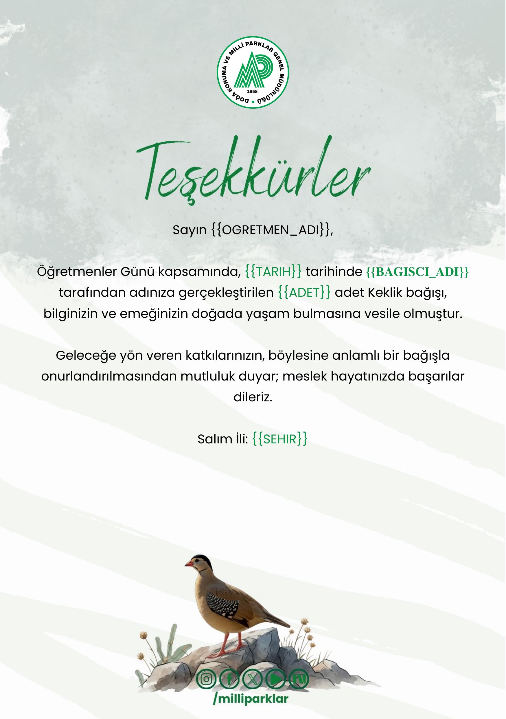 Öğretmenler Günü - Keklik