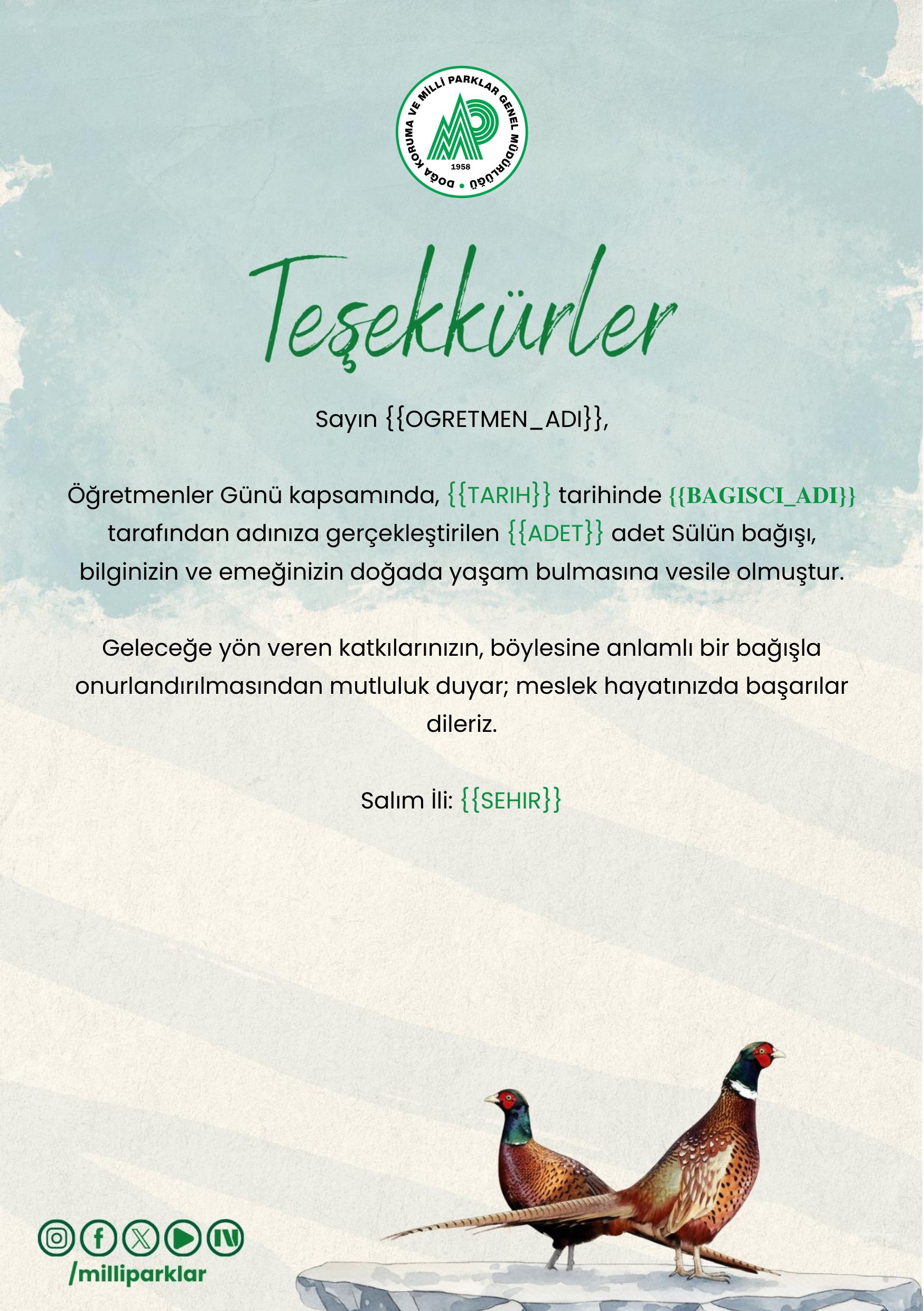 Öğretmenler Günü - Sülün